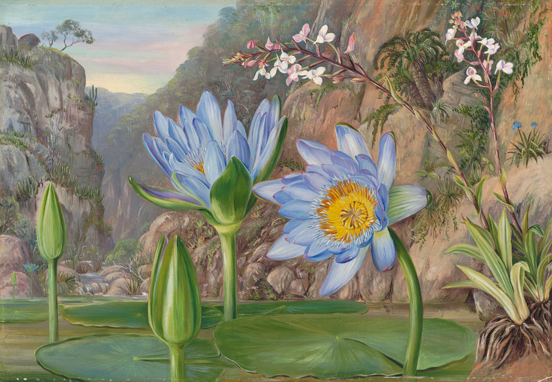 John Cheever: Igerilaria episode artwork