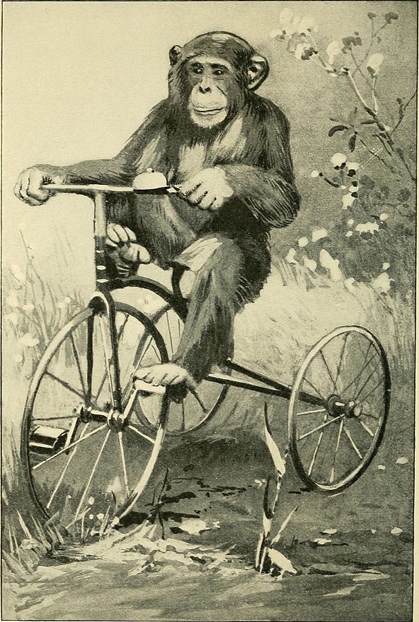 Franz Kafka: Akademia batentzako txosten bat episode artwork
